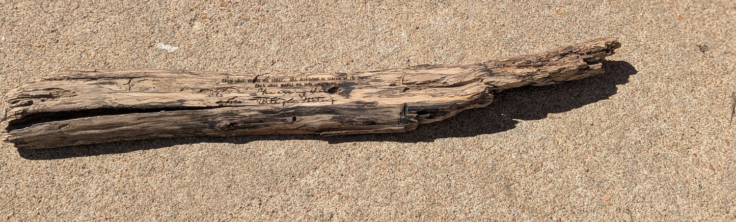 Engraved Driftwood