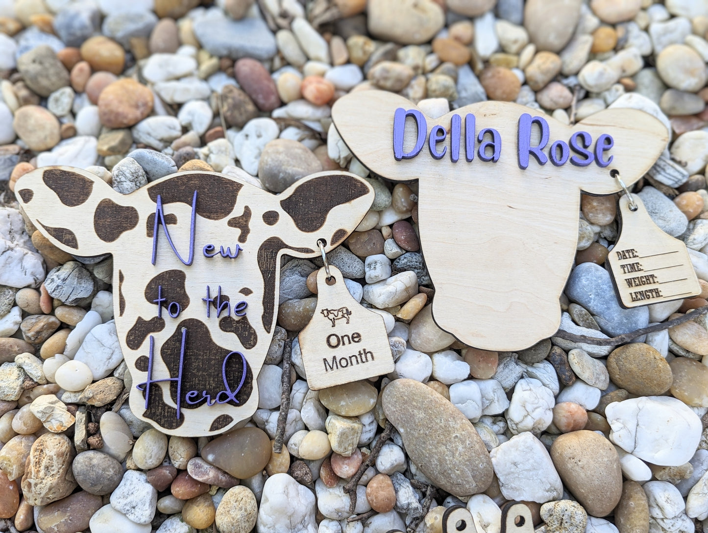 Cow Baby Milestones and Birth Announcement