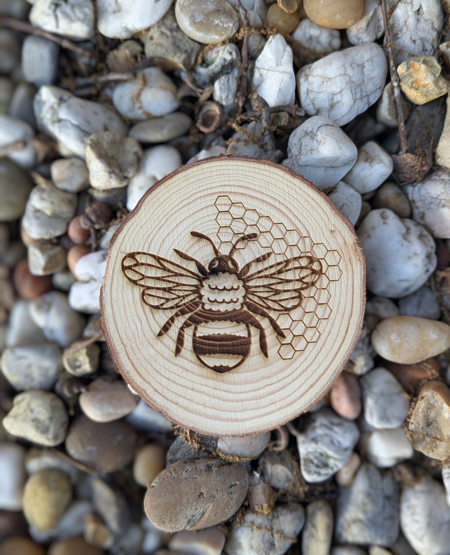 Small HoneyBee Live Edge